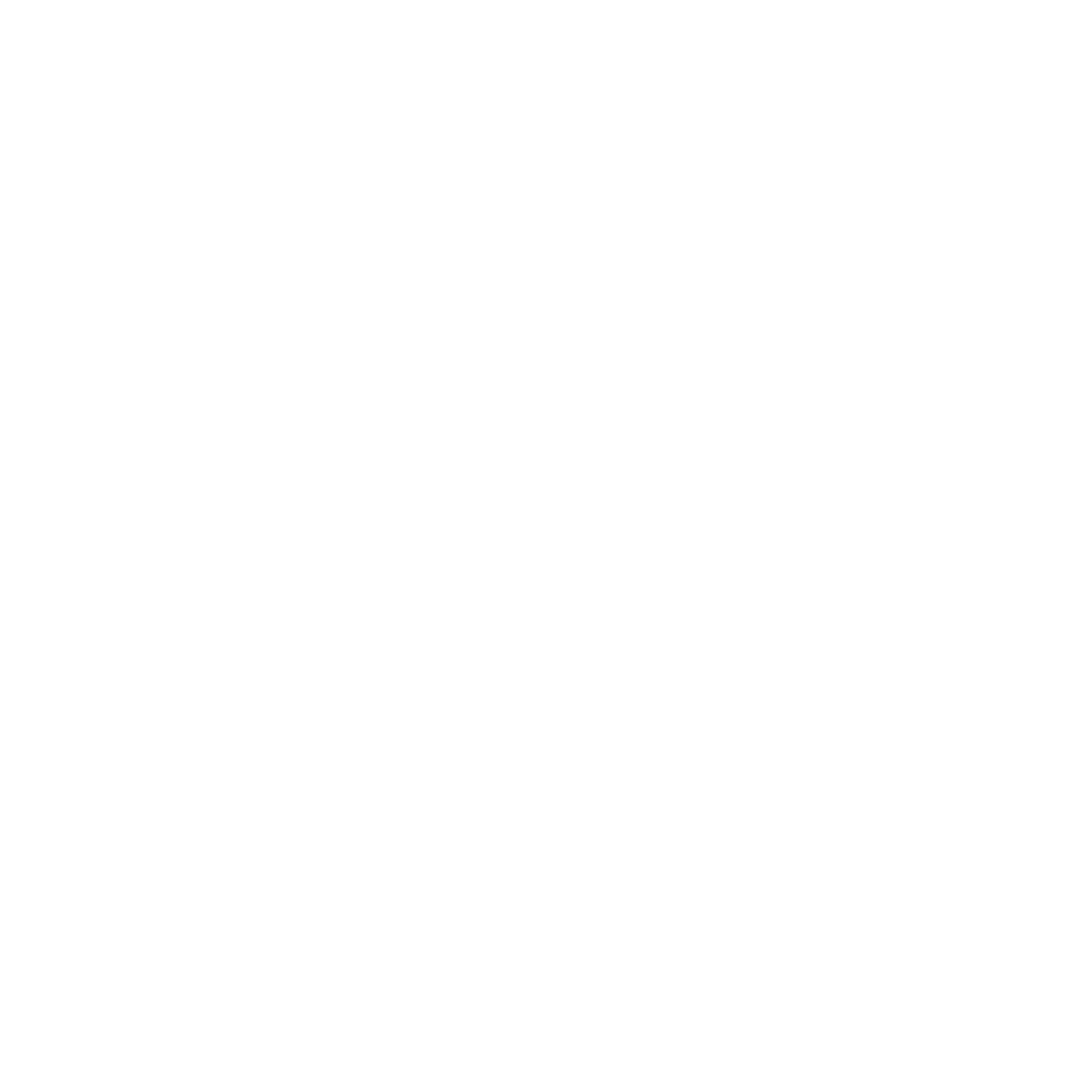 Cifer White Logo
